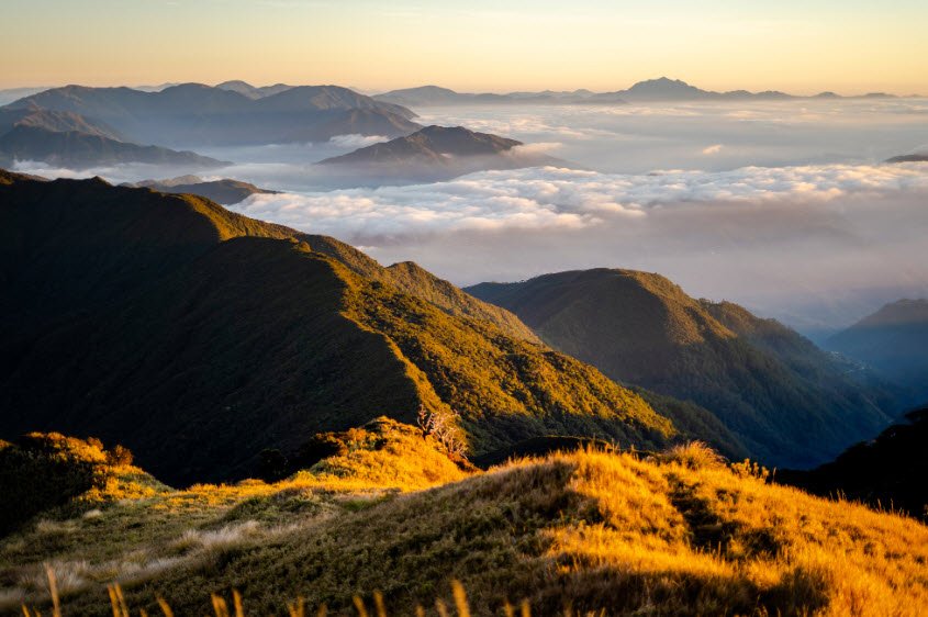 Mt. Pulag, Benguet/Nueva Vizcaya, Philippines